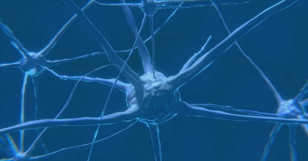 EEG and neuroscience