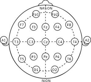 electrodes system illustration on transparent background