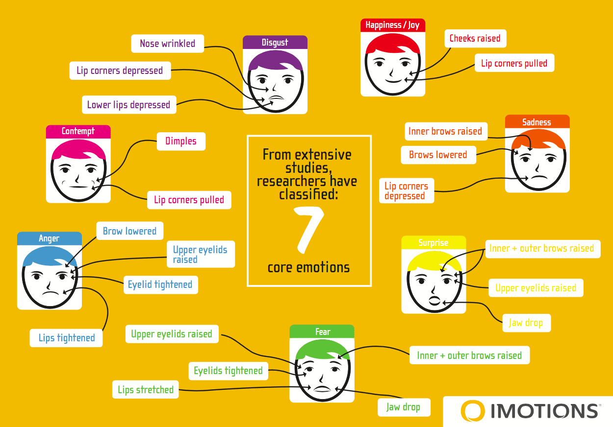 What Are Emotions and Why Do They Matter? - iMotions