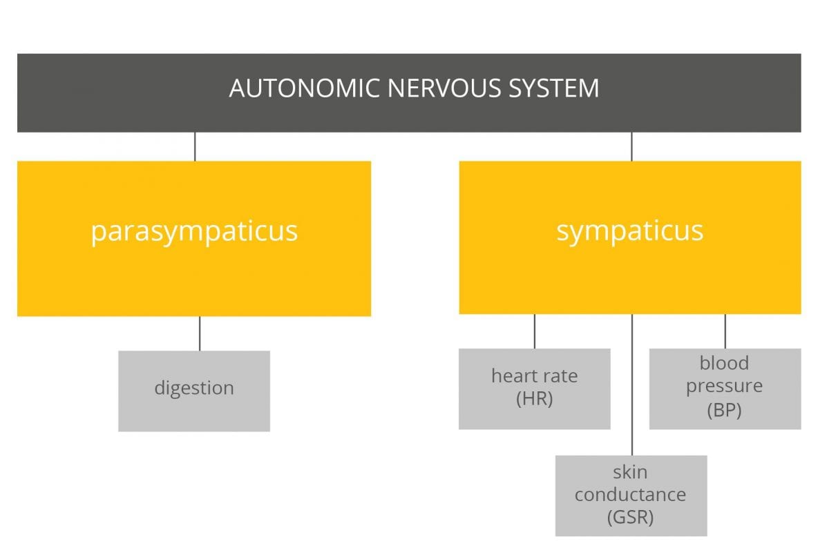 Autonomic nervous system activities