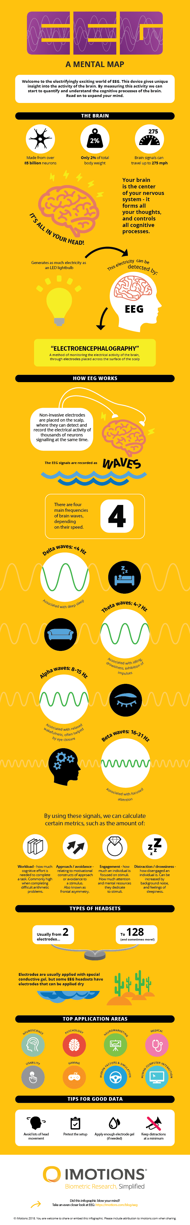 EEG infographic