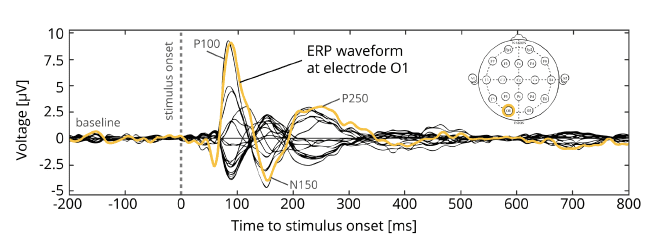 Long-epoch averages showing the ERPs elicited by sequential words