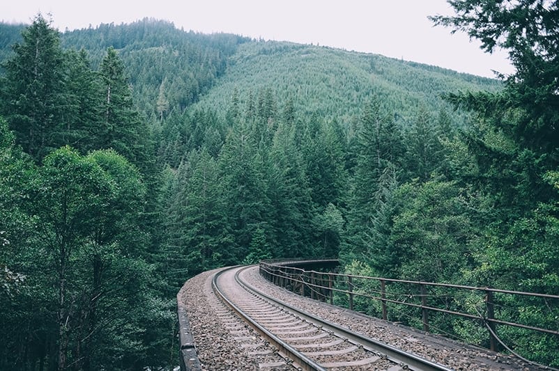 railroad tracks in the woods