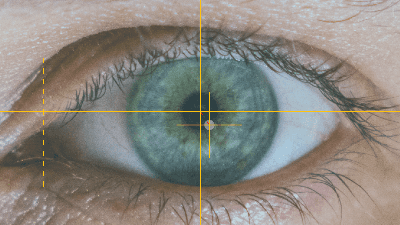 What is Eye Tracking and How Does it Work? - iMotions