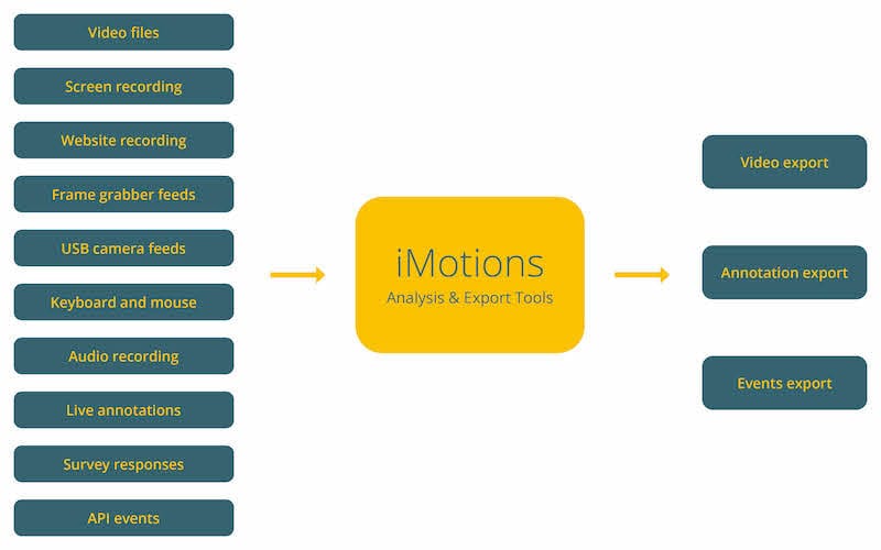 input feeds into iMotions api