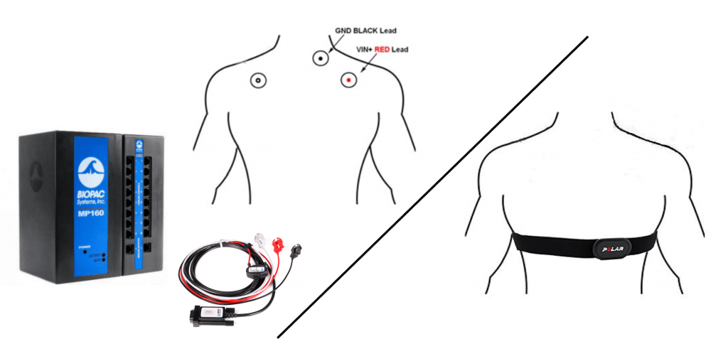 ecg polar heart placement