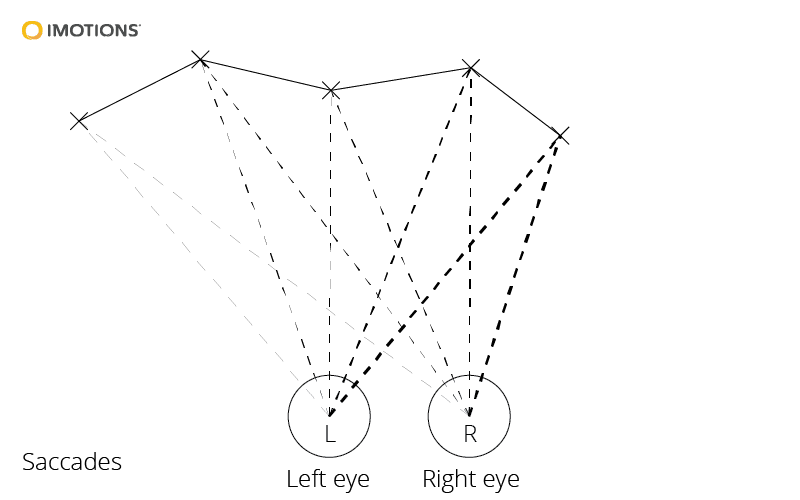 Smooth-pursuit eye movement exercises ((A): Smooth-pursuit eye