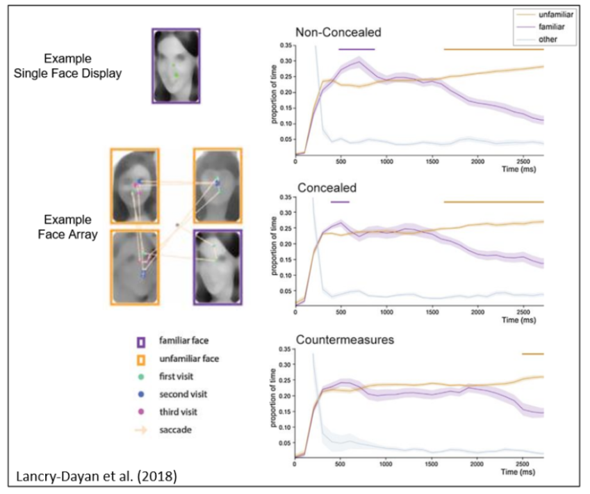 Eye Tracking deception Blog infographic