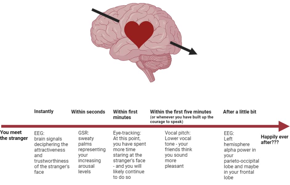 Valentines Brain