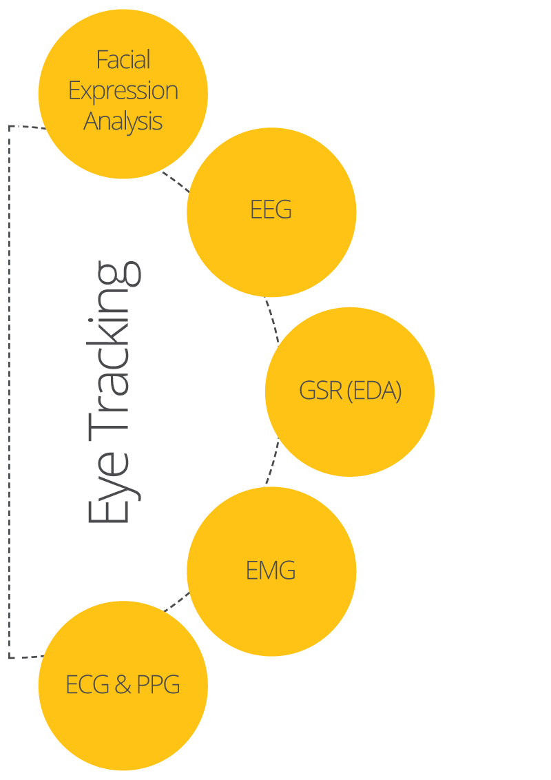biometrics and eye tracking