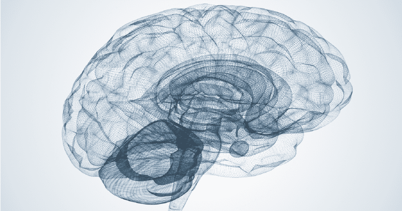  brain eeg scan frontal asymmetry