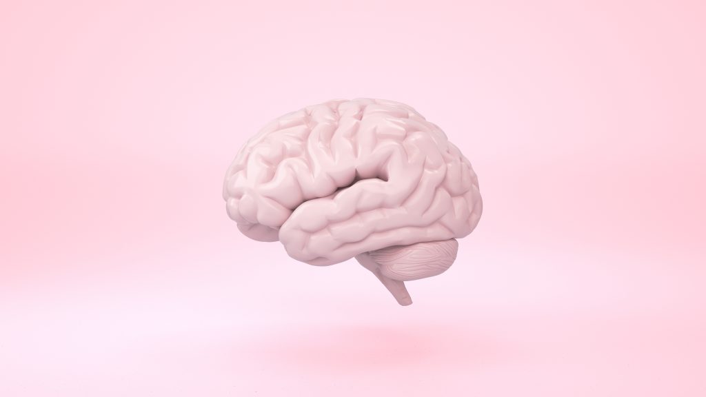 Pink brain in front view on minimal background, thinking comic speech bubble. 3d rendering.