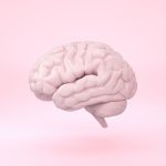 Featured image for EEG (Elektroenzephalografie) in iMotions: Ein umfassender Leitfaden für Technik und Forschung