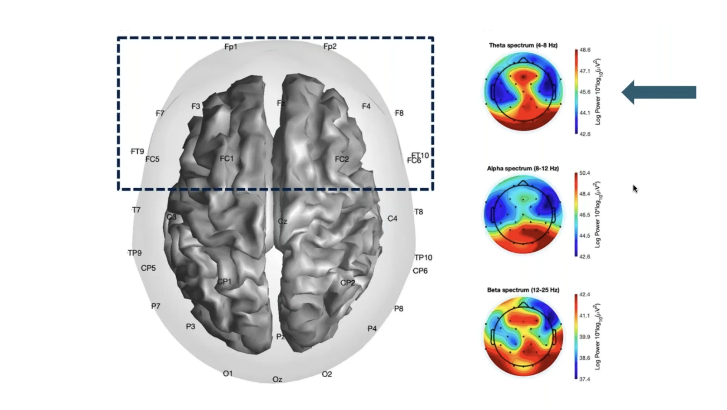 Multisensory perception and food-related decision-making