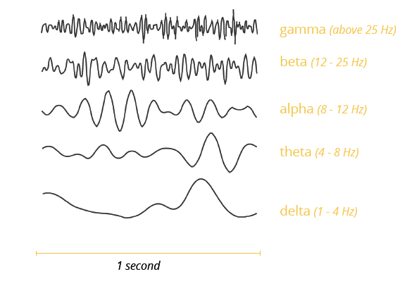 brain wave frequencies