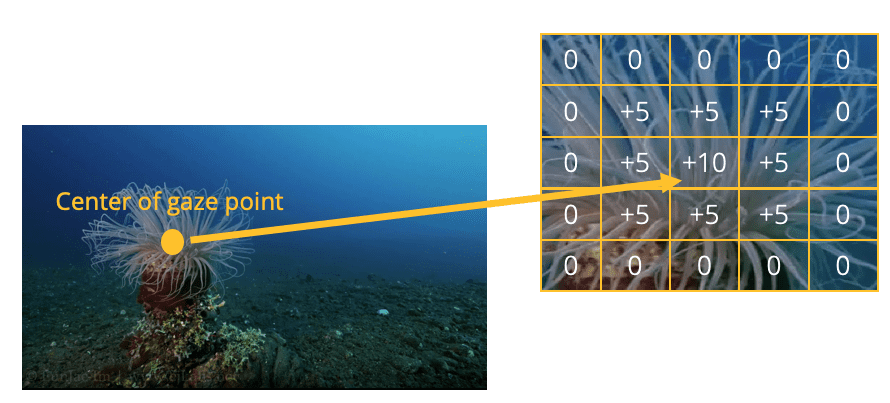 diagram of center of gaze point heatmap values