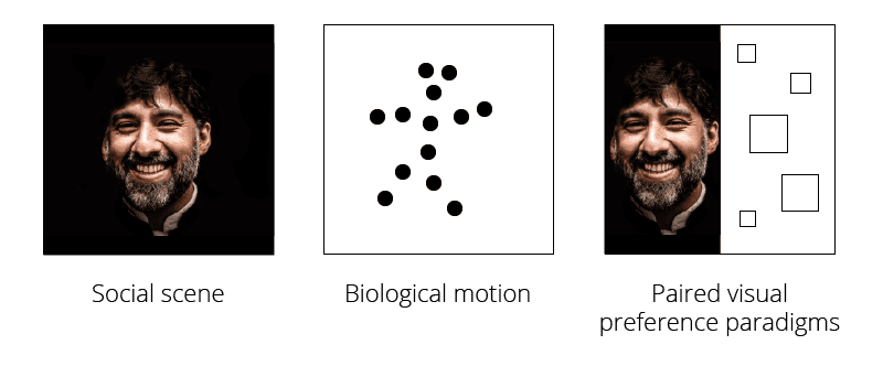 different experimental paradigms autism