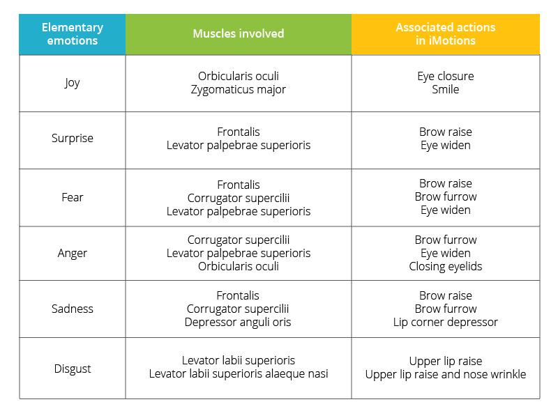 femg muscle chart