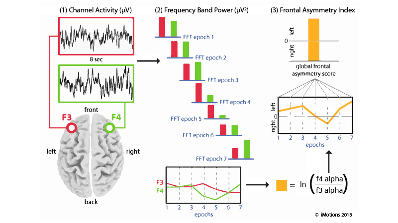  frontal asymmetry walkthrough