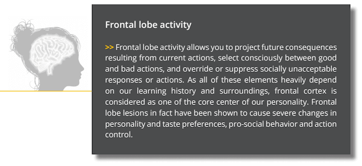 frontal lobe activity