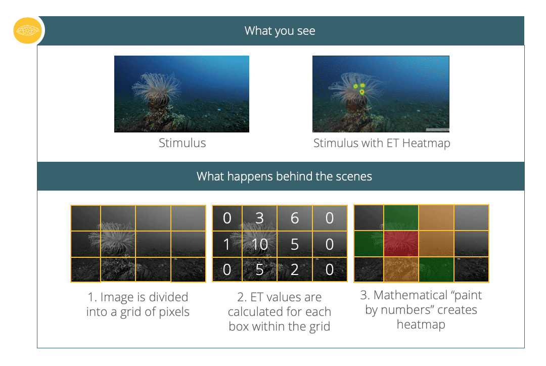 diagram of eye tracking heatmap with grid calculations