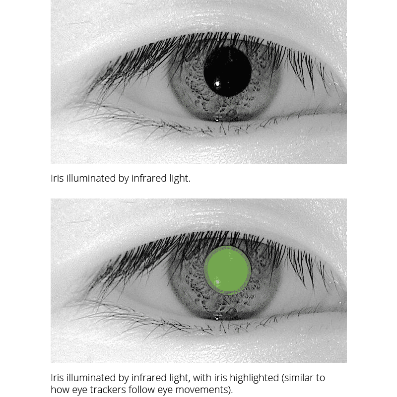 webcam-based eye tracking - infrared eye trackers example