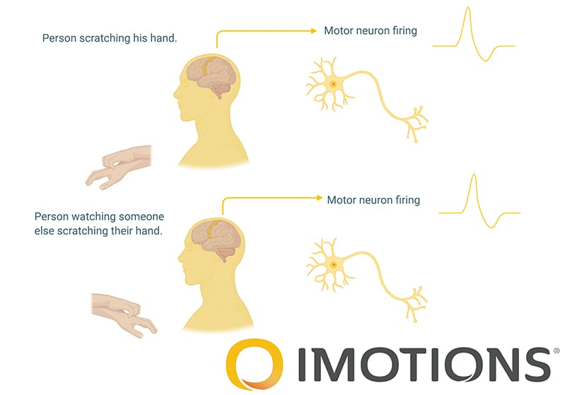 Mirror Neuron Mu Wave