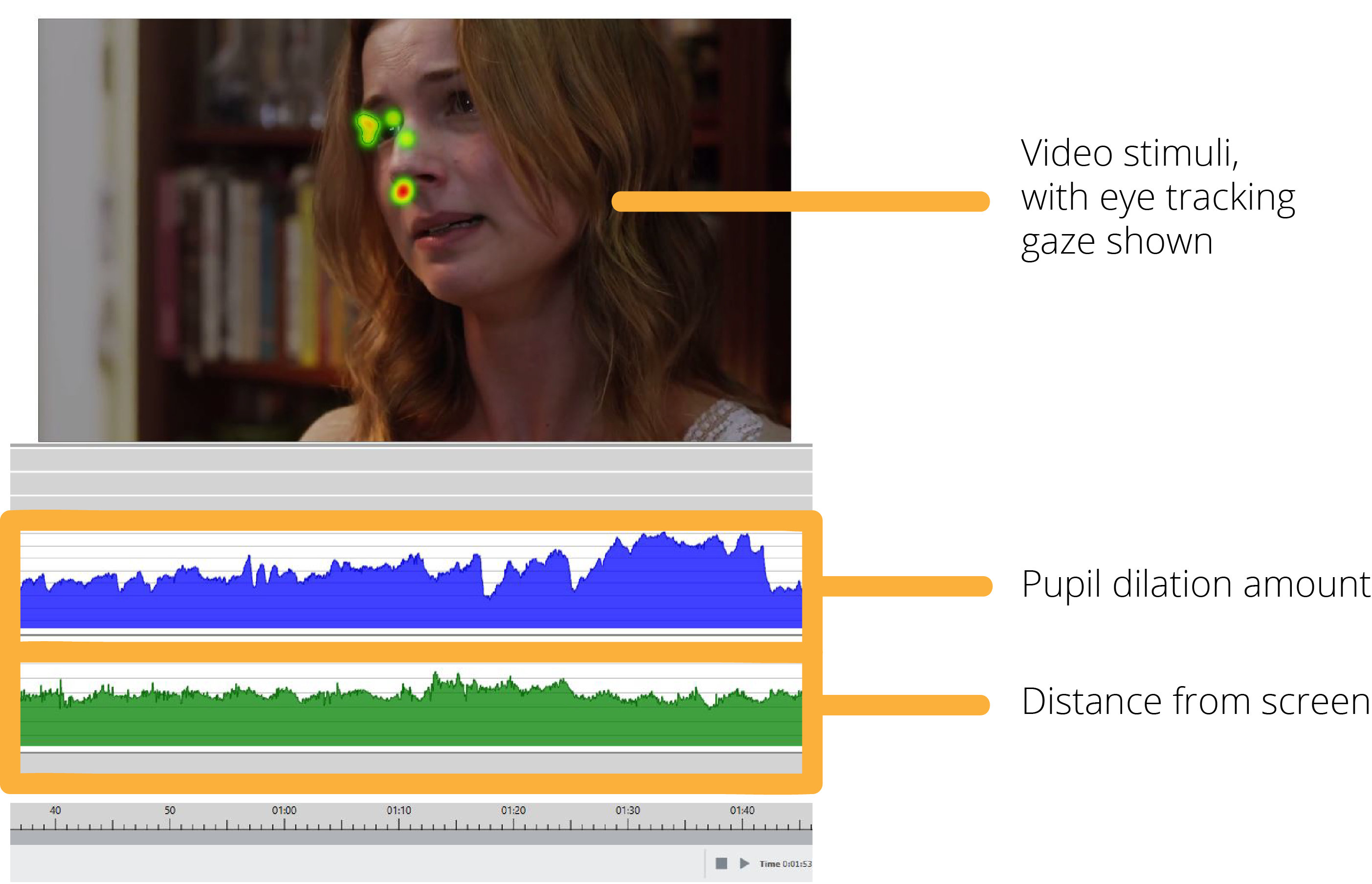 pupil dilation iMotions biometrics