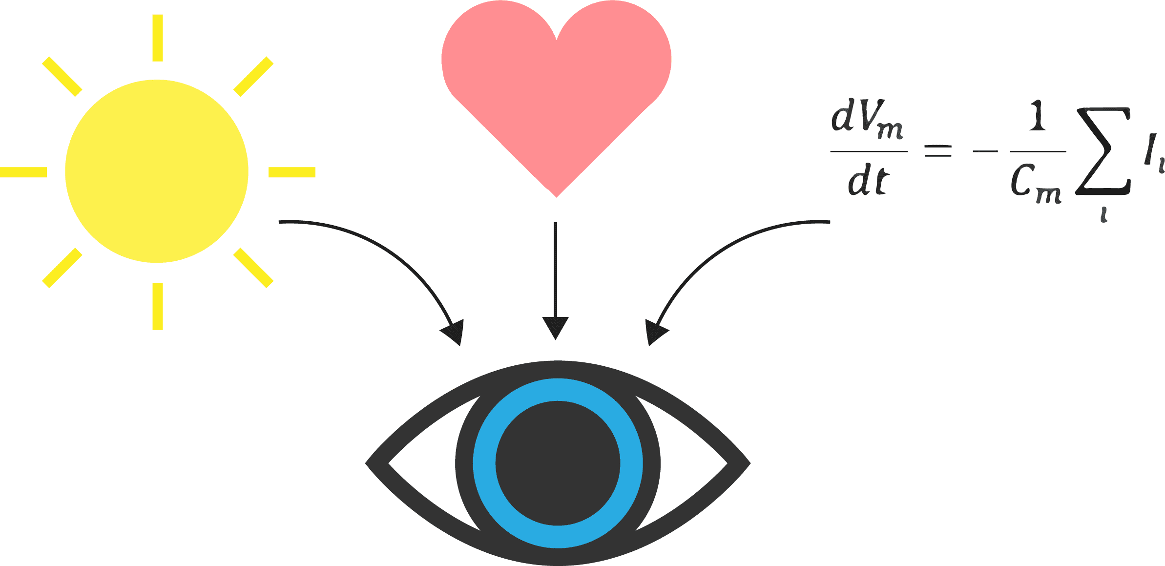 pupil dilation stimuli emotion