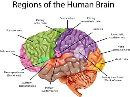 What Is The Subconscious Mind? - iMotions