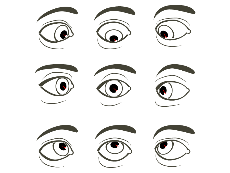 Eye Movement Tracking, Feature