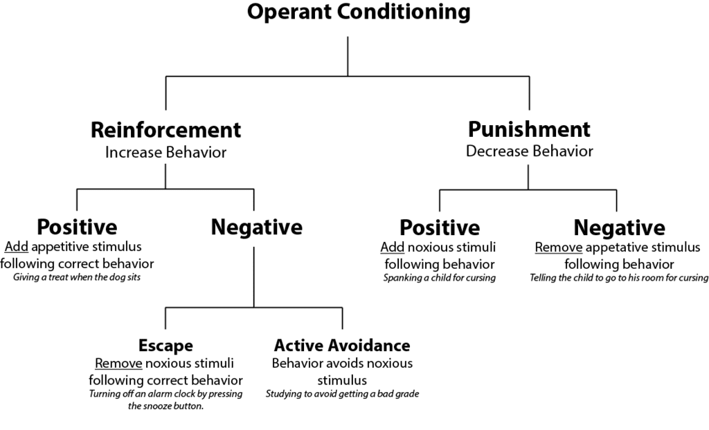 operant conditioning diagram for behavioral psychology