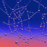 Featured image for Eine Einführung in das sympathische und parasympathische Nervensystem