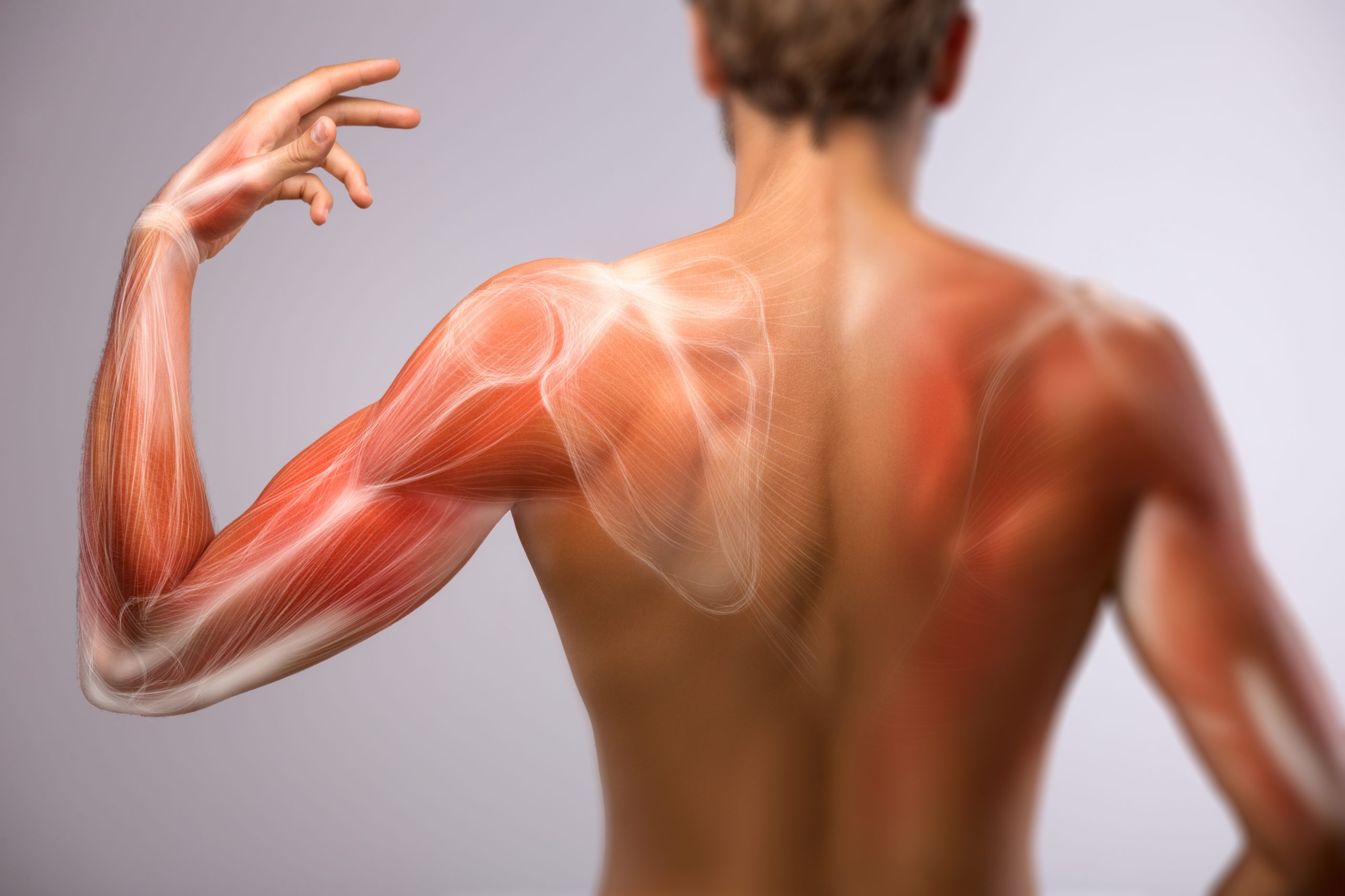 Understanding EMG Device Costs: What You Need to Know - iMotions